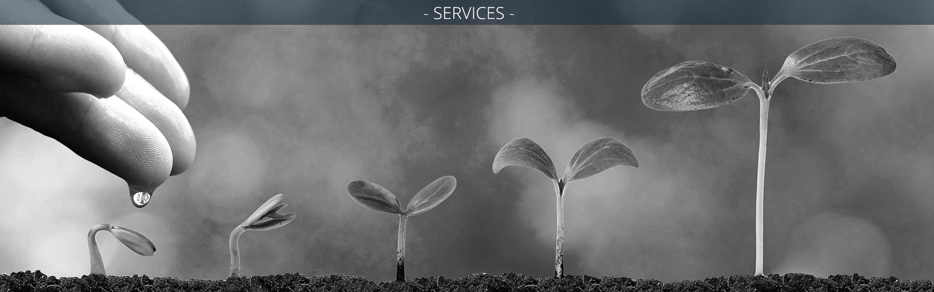 Professional financial services in Guernsey.